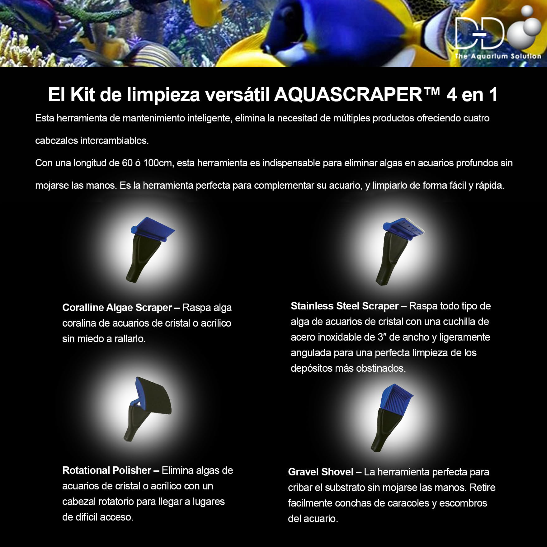 coralscraper2
