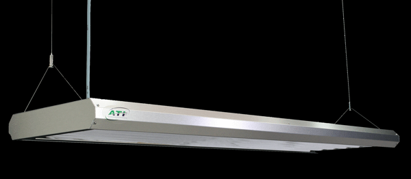 SunPower_1