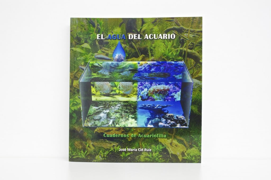 IMG_4691