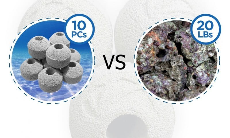 liverockcomparison