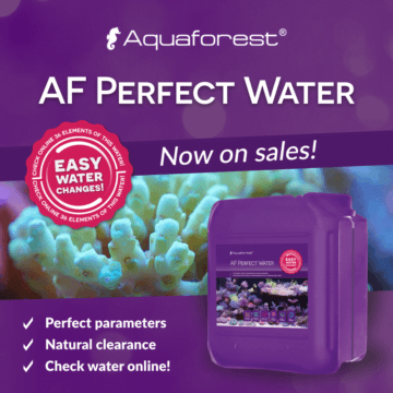 AF-Perfec-Water_w-sprzedazy_EN-360x360