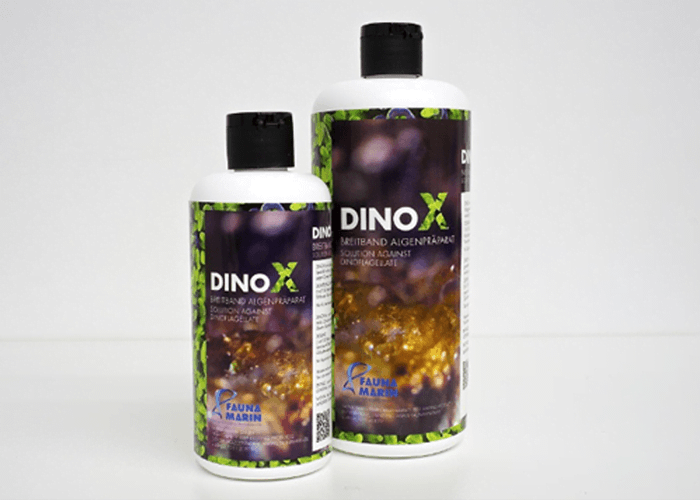 dinox