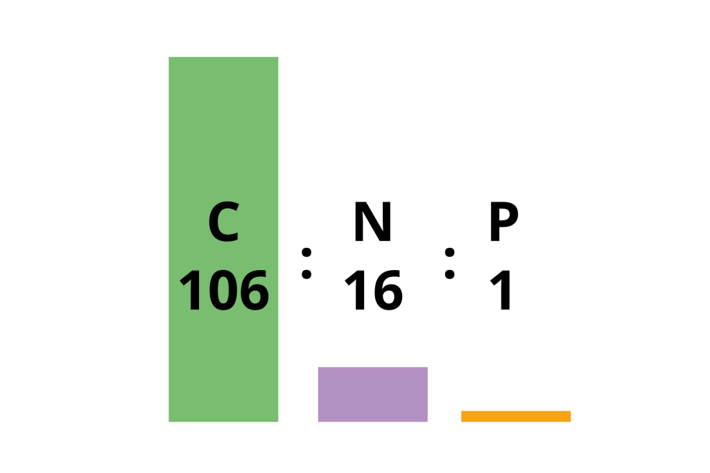 CNP