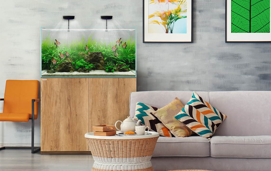 LivingRoom_Clear