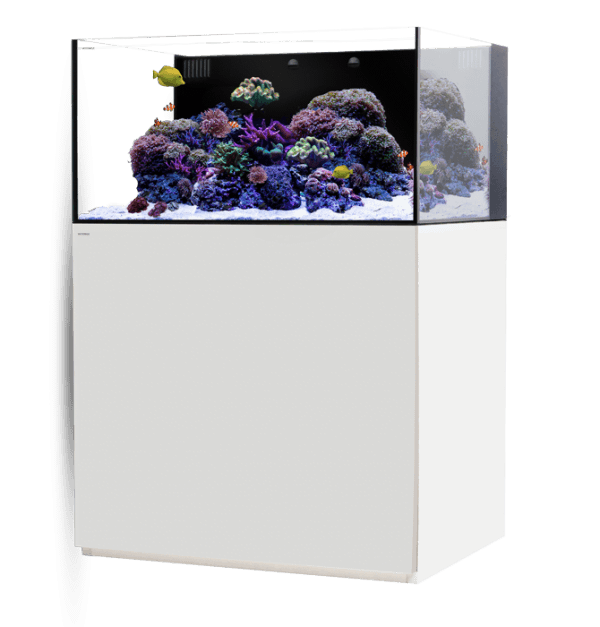 SILVER-MARINE-wet-e1529959871464