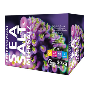 profesional sea salt fauna marin