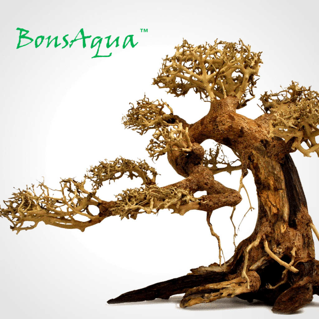Bonsaqua (1)