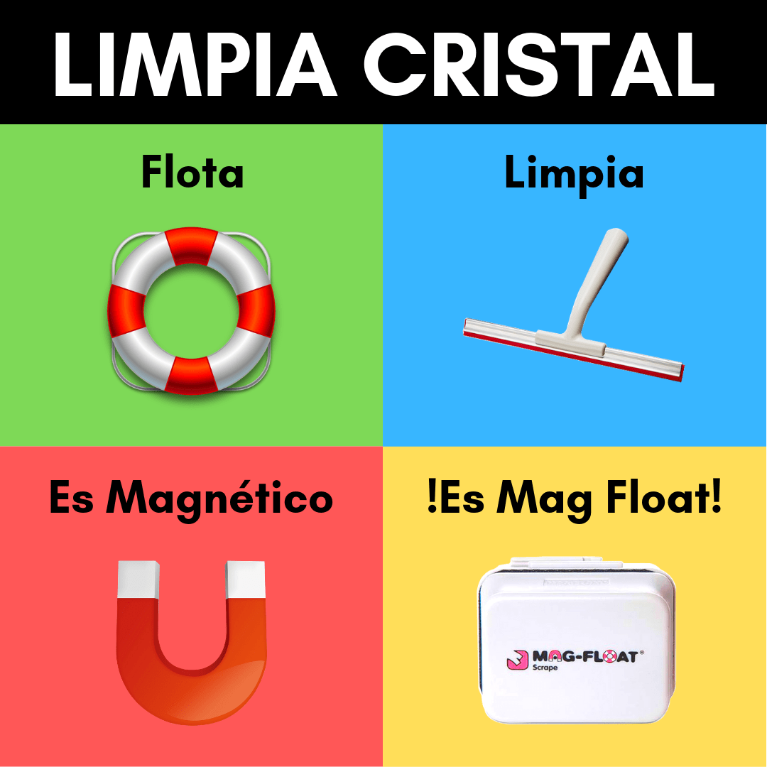 LIMPIA CRISTAL