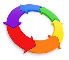 ciclo