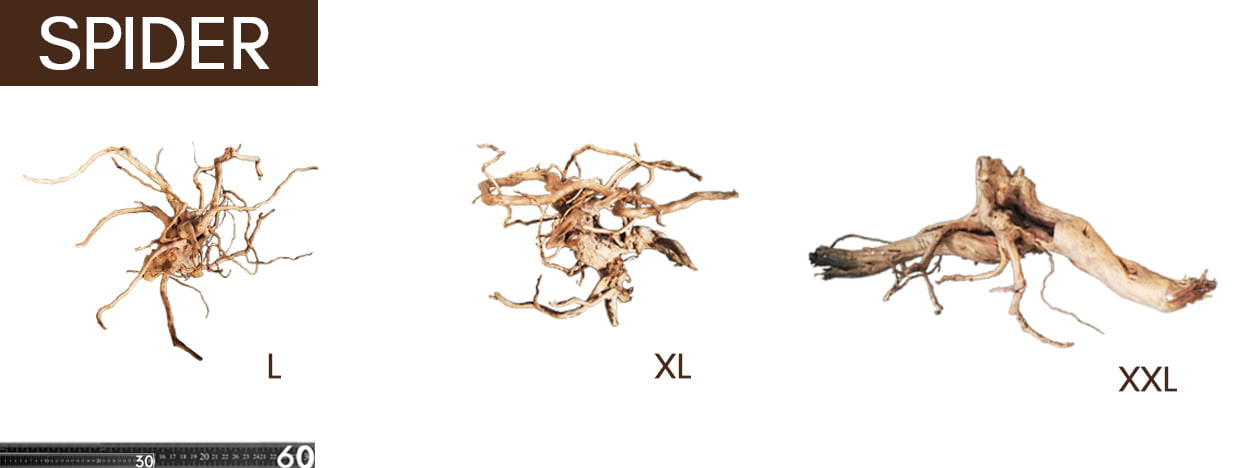 Spider Comparativa