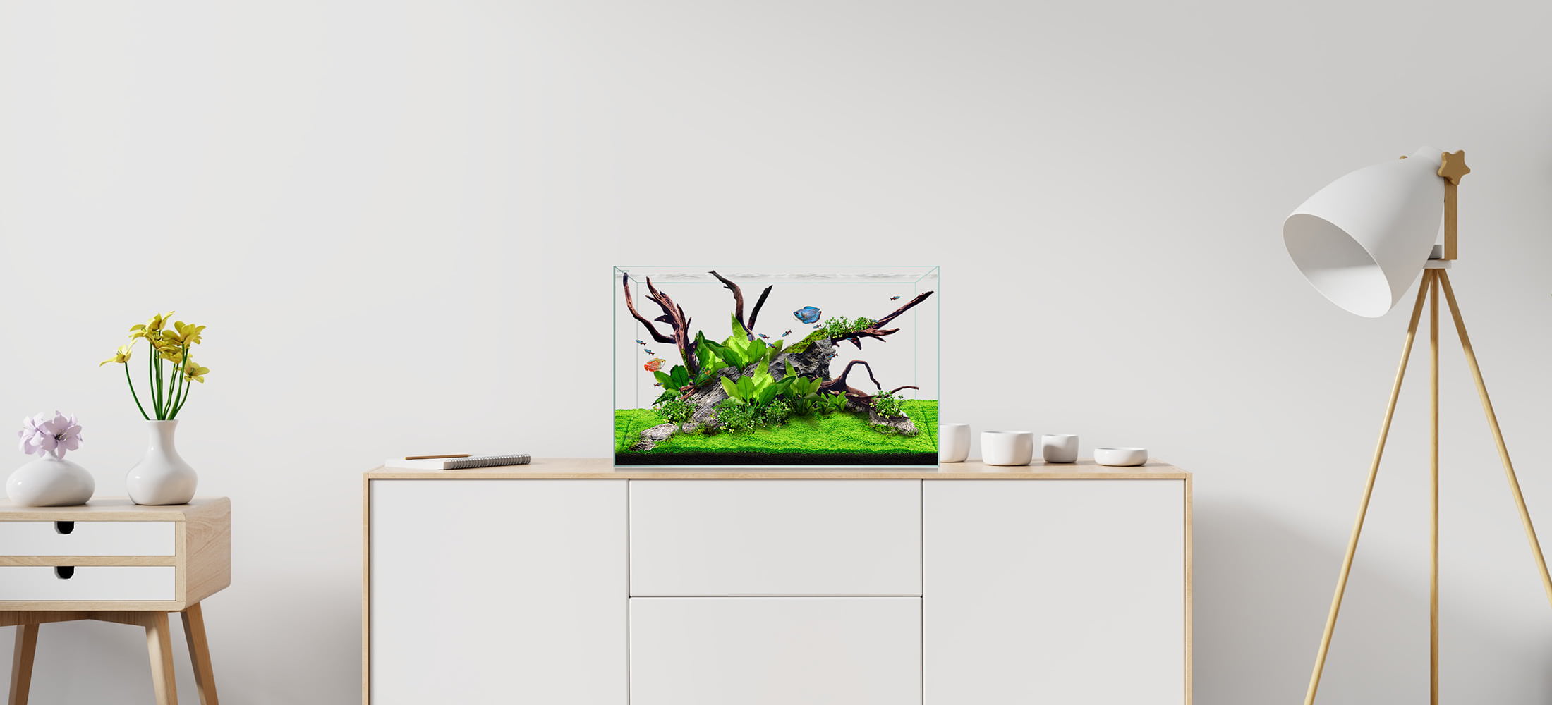 display.clear_.mini_