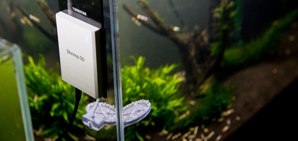twinstar_shrimp50