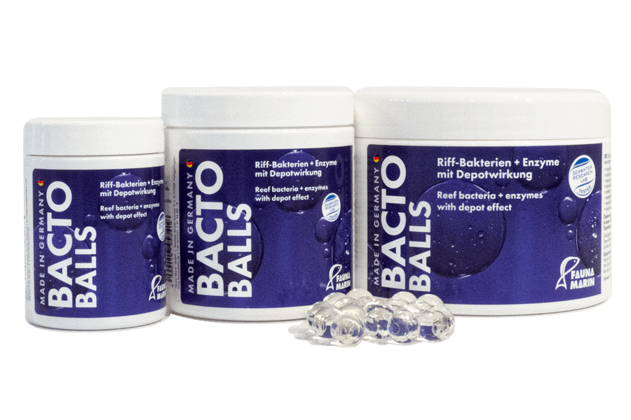 Bacto reef balls