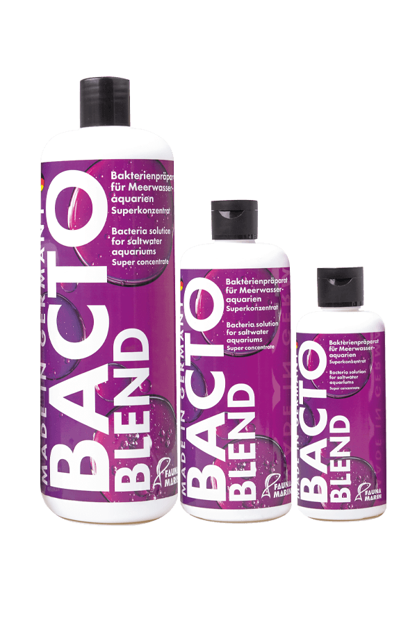 bacto blend