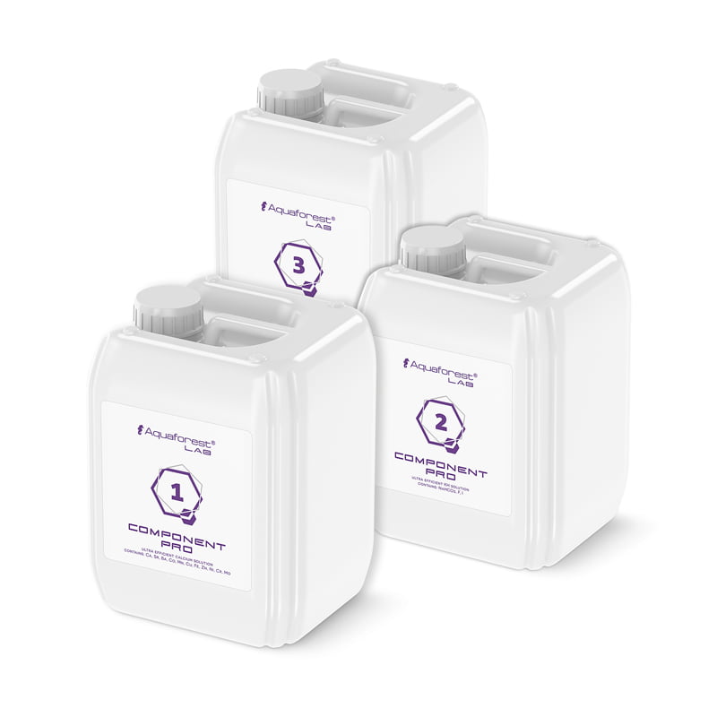 83193526_2655876937822587_8514144512468058112_n