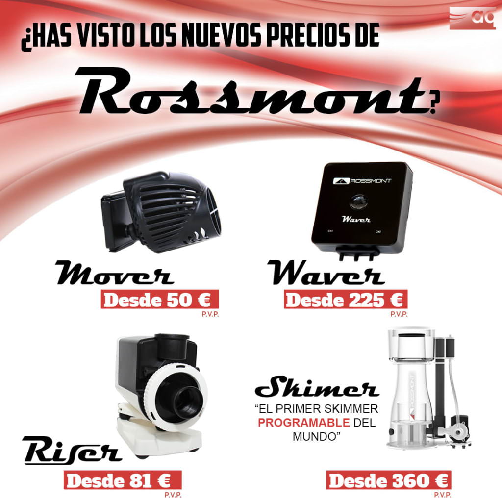 NUEVOS PRECIOS ROSSMONT