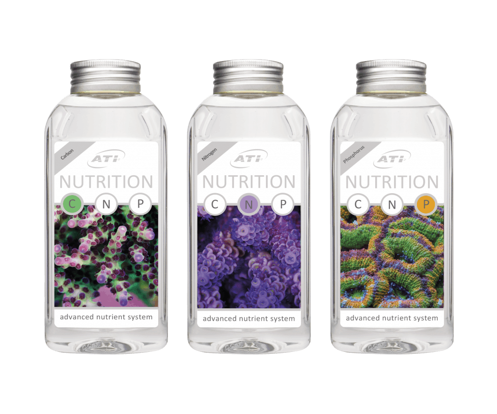 Nutritions-Set-NCP
