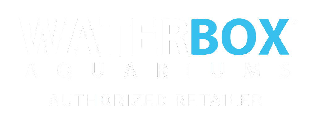 Water Box (2)