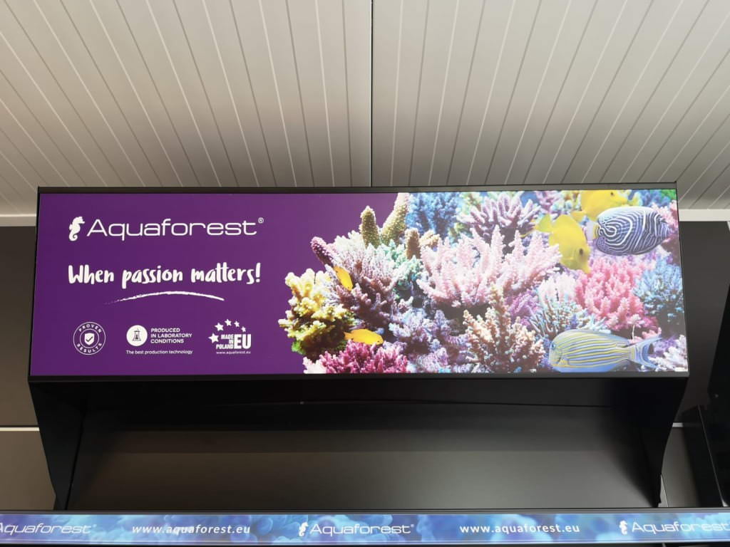 WhatsApp Image 2020-03-04 at 16.29.56 (1)