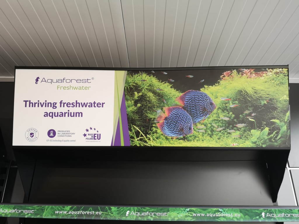 WhatsApp Image 2020-03-04 at 16.29.56