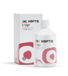 xepta-i-up