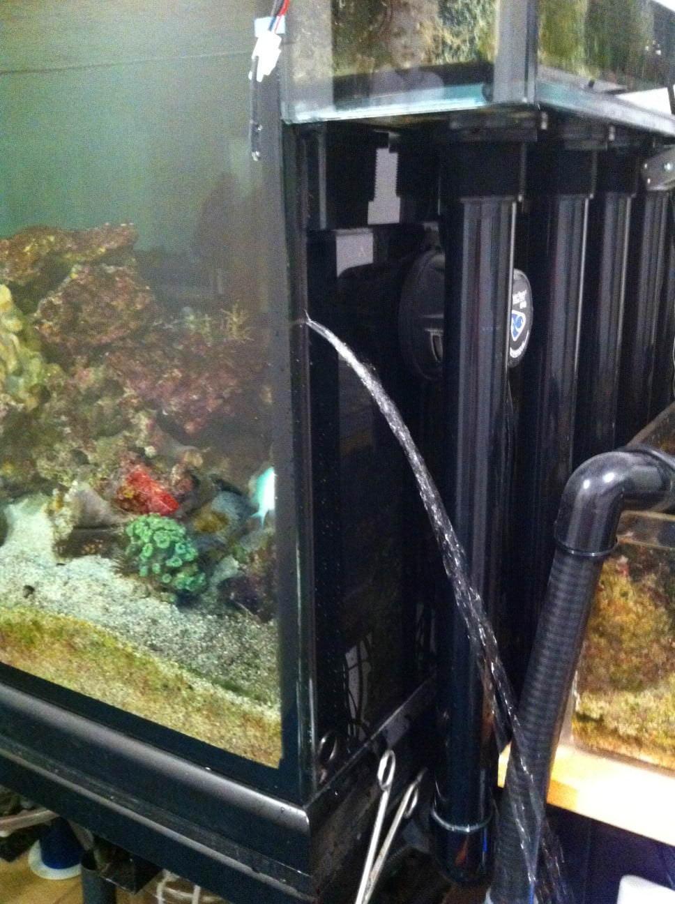 www.aq-arium.com