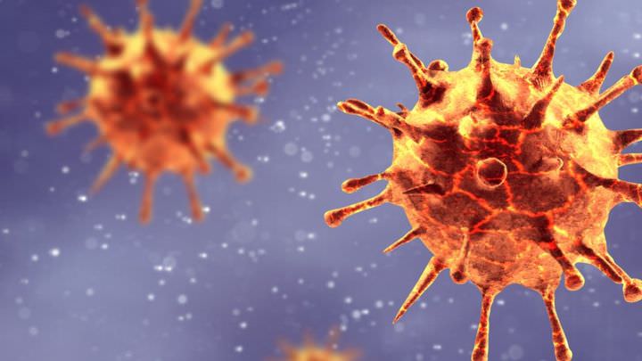 coronavirus pequeño