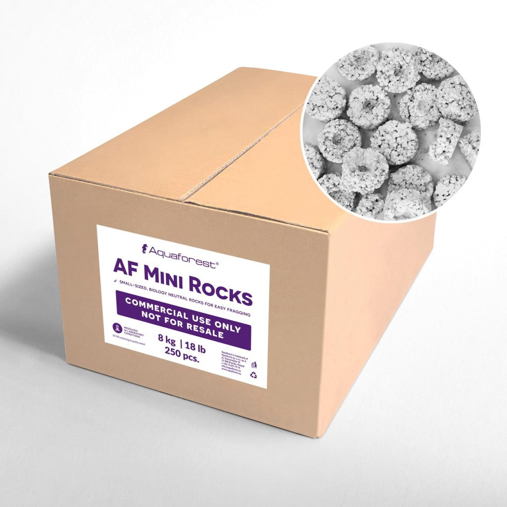 AF MINI ROCKS 250 UD.