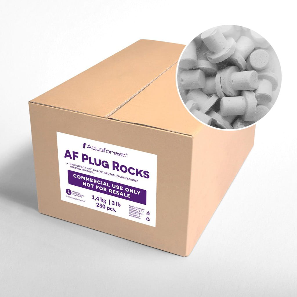 AF PLUG ROCKS 250 UD.