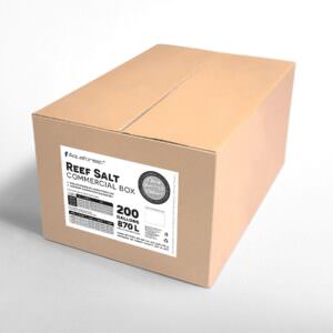 Reef Salt Box
