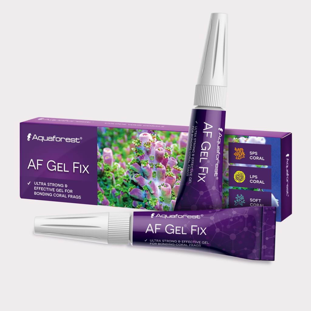 gel fix