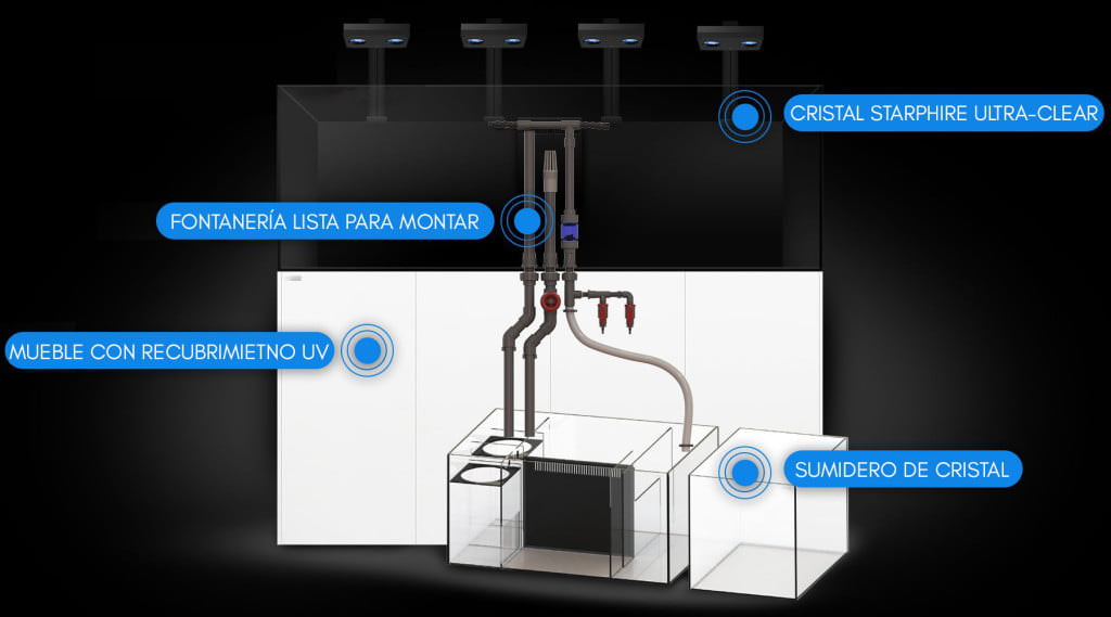 ESQUEMA
