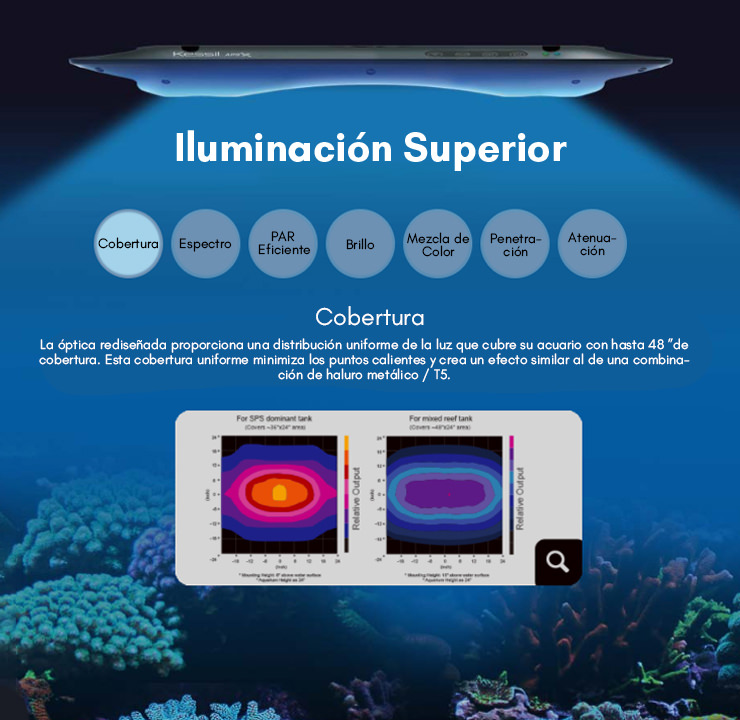 1.cobertura