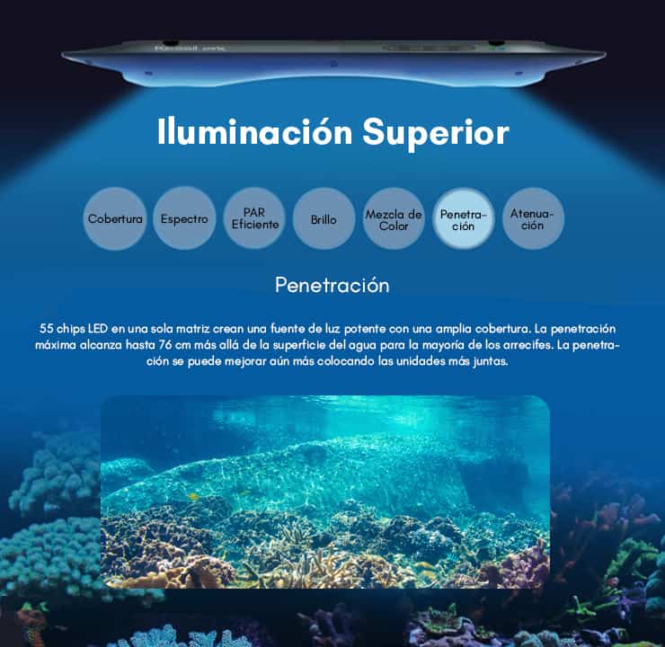 6.Penetración