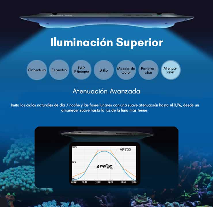 7.Atenuación