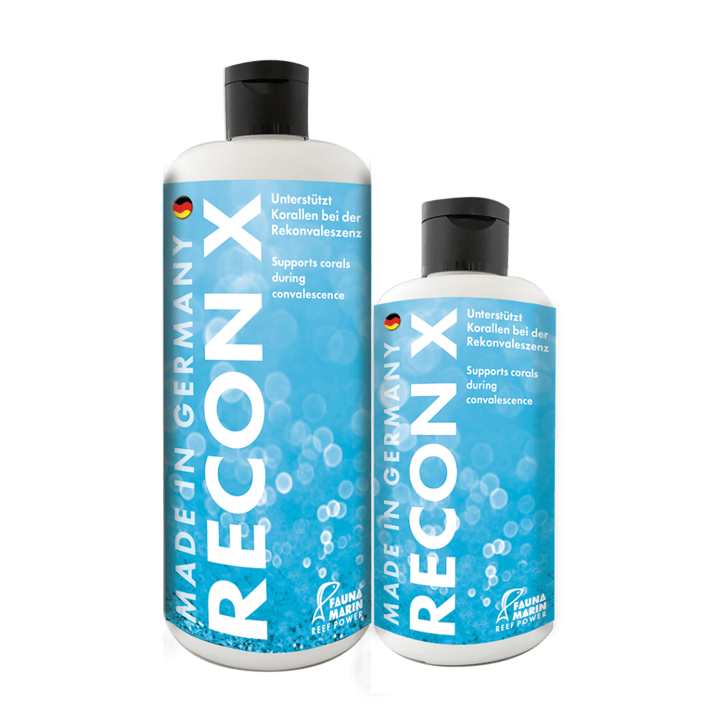 Recon-X de fauna marin