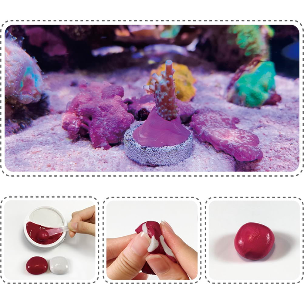 coral putty instrucciones