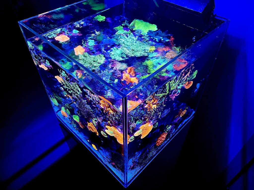 best-led-light-for-sps-reef-tank-2048x1536