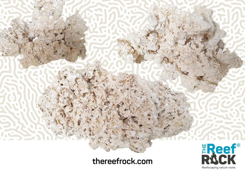 Reef Roc Surface The Reef Rock| La roca natural para reefscaping - AQ, Aquarium Solutions