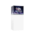 MARINEX.60.2.WHITE.ANGLED