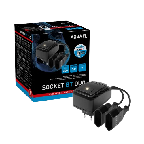 Socket BT Duo