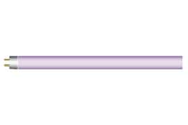 Purple_Plus