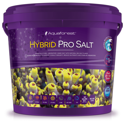 Hybrid-Pro-Salt_1800x1800_mockup-1024x1024