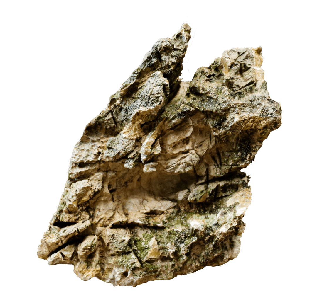 Luohan Rock