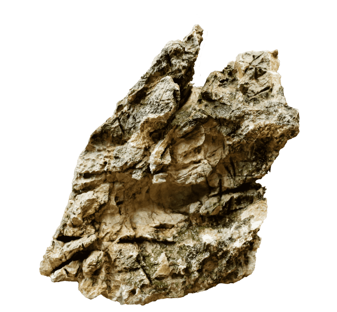 Luohan Rock