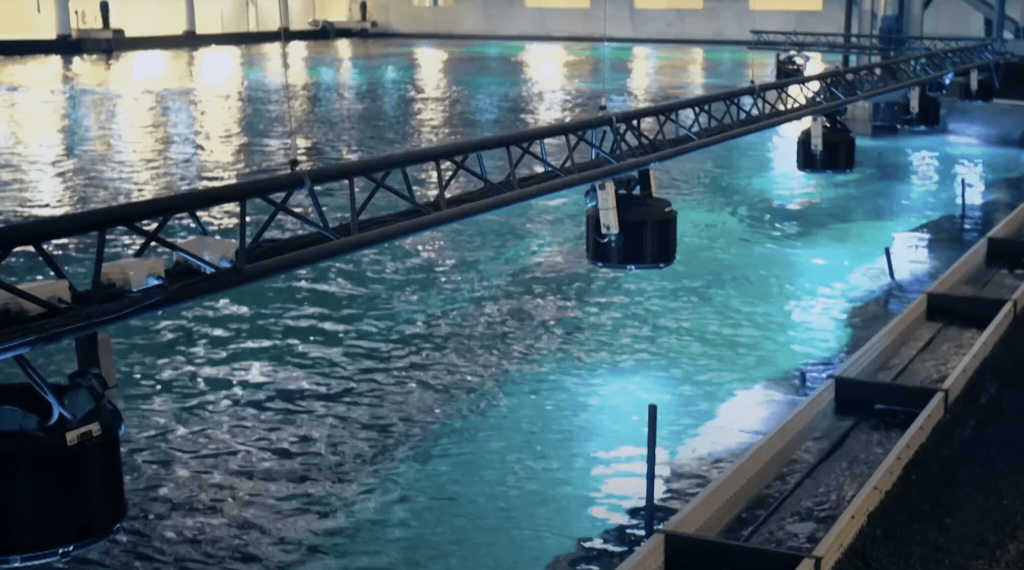 Orphek-amazonas-500-public-aquar