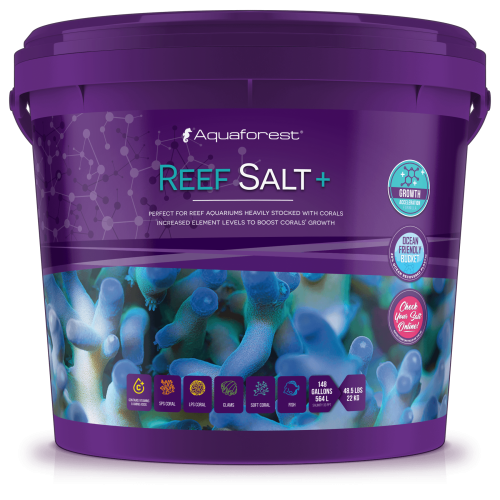 Reef-Salt_1800x1800_mockup