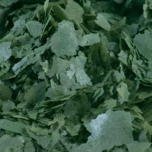Spirulina x