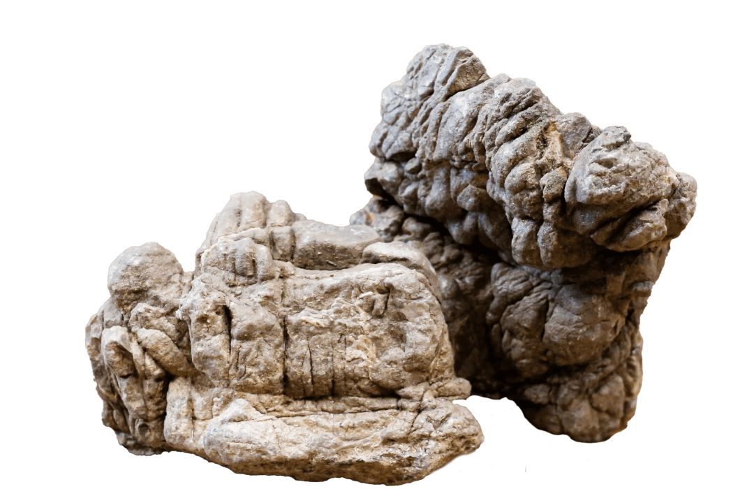 Turtle Vein Rock