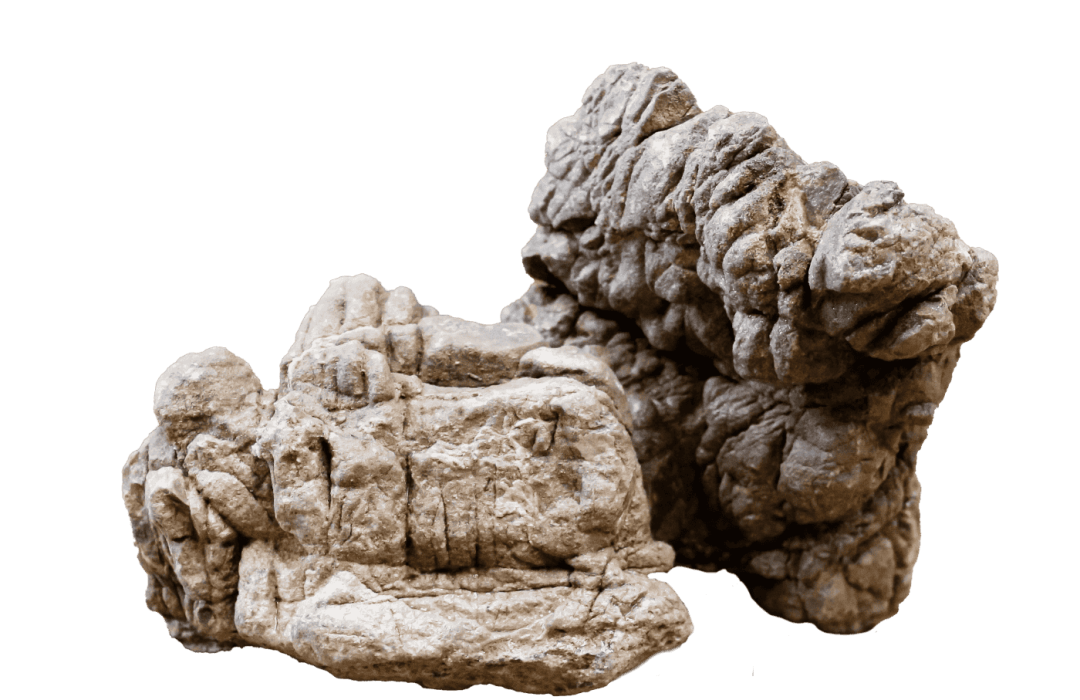 Turtle Vein Rock